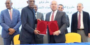 Egypt and Djibouti Strengthen Their Partnership with New Agreements in Maritime Transport and Green Energy