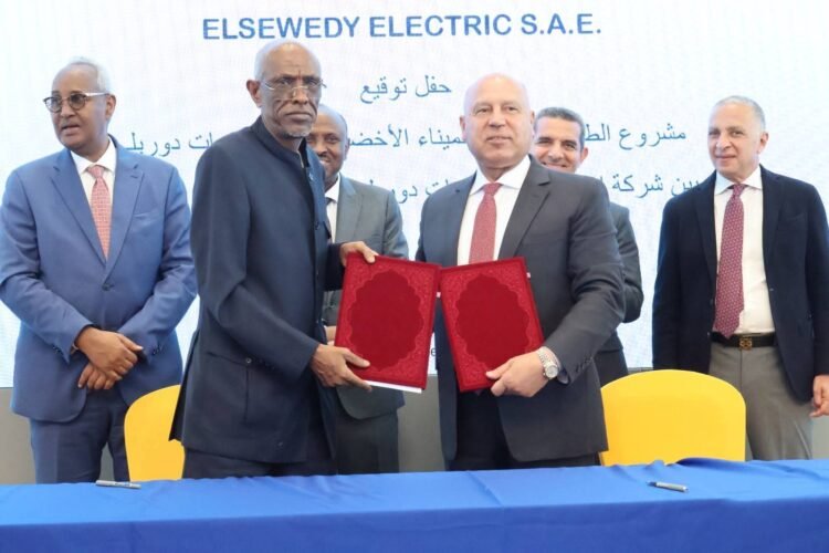 Egypt and Djibouti Strengthen Their Partnership with New Agreements in Maritime Transport and Green Energy