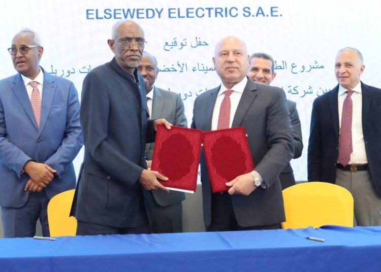 Egypt and Djibouti Strengthen Their Partnership with New Agreements in Maritime Transport and Green Energy