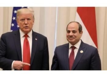 Egypt and Sudan Welcome Resumed US Mediation Over GERD Dispute 