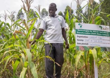 African Development Bank Champions Climate-Smart Agriculture to Boost Food Security and Farmer Resilience