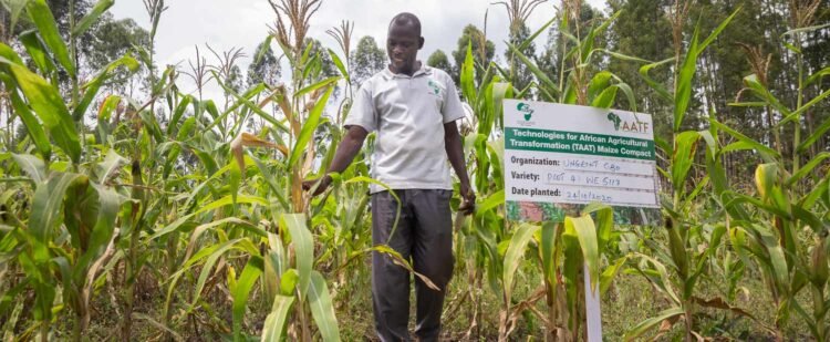 African Development Bank Champions Climate-Smart Agriculture to Boost Food Security and Farmer Resilience