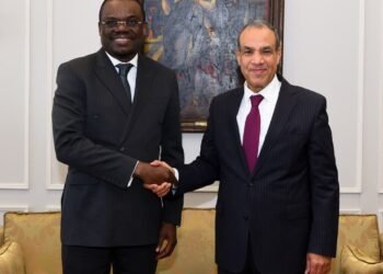 Minister of Foreign Affairs Affirms Egypt’s Support for Strengthening the Health System and Pharmaceutical Security in Africa