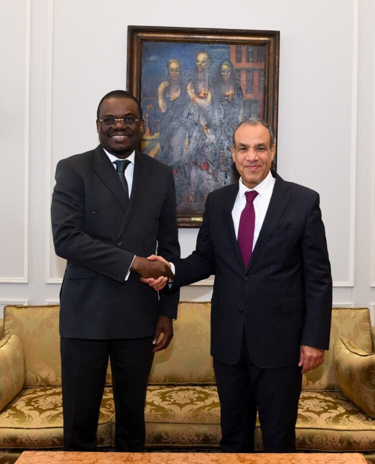 Minister of Foreign Affairs Affirms Egypt’s Support for Strengthening the Health System and Pharmaceutical Security in Africa