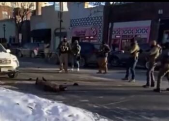 Sparking fierce protests, Federal immigration agents kill another US citizen in Minneapolis 