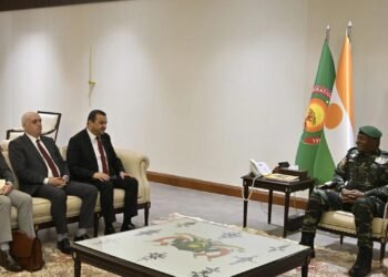 Several initiatives reviewd, Niger, Algeria discuss revival of energy cooperation