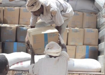 Sudan Faces Alarm Bell: 4.2 Million Children and Women Slated for Acute Malnutrition in 2026