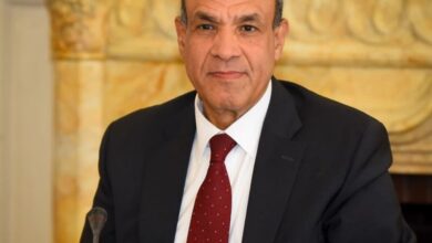 Minister of Foreign Affairs, Emigration and Egyptian Expatriates, Dr. Badr Abdelatty