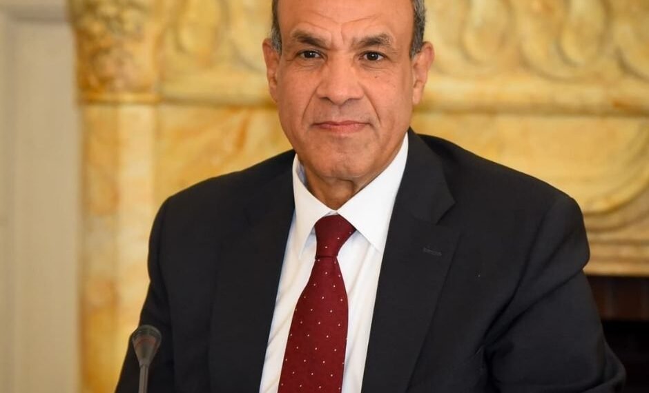 Minister of Foreign Affairs, Emigration and Egyptian Expatriates, Dr. Badr Abdelatty