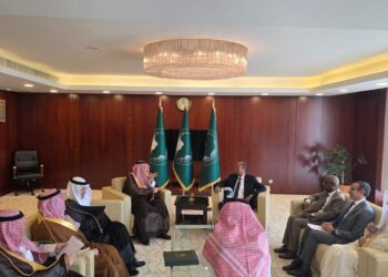 African Union and Saudi Arabia Strengthen Strategic Partnership to Drive Peace, Stability, and Economic Growth in Africa