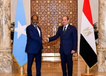 El-Sisi to Somali president : Egypt’s firm support for Somalia’s unity