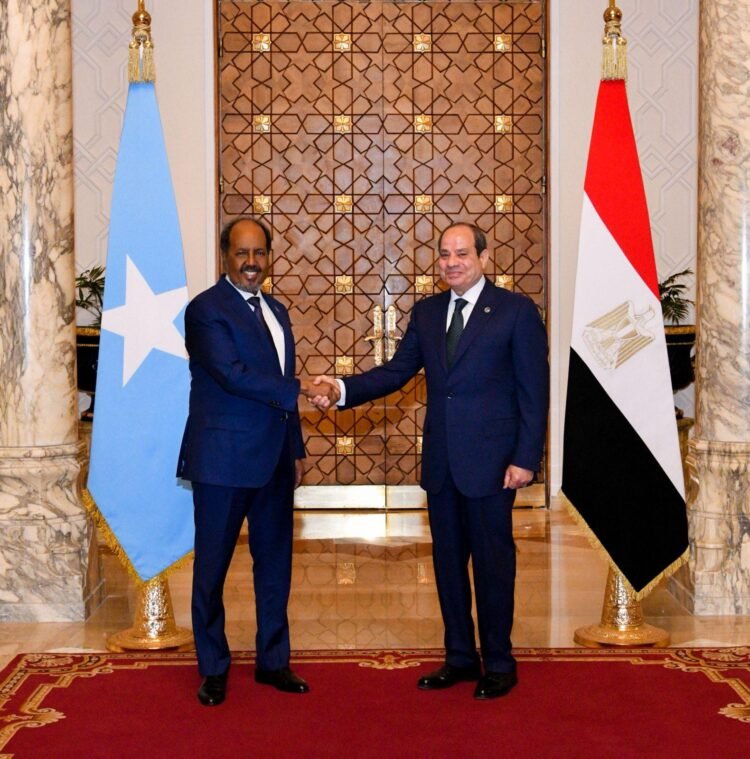El-Sisi to Somali president : Egypt’s firm support for Somalia’s unity