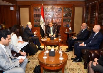 Egyptian FM to Special Rapporteur: per capita water drops to under half of UN threshold 