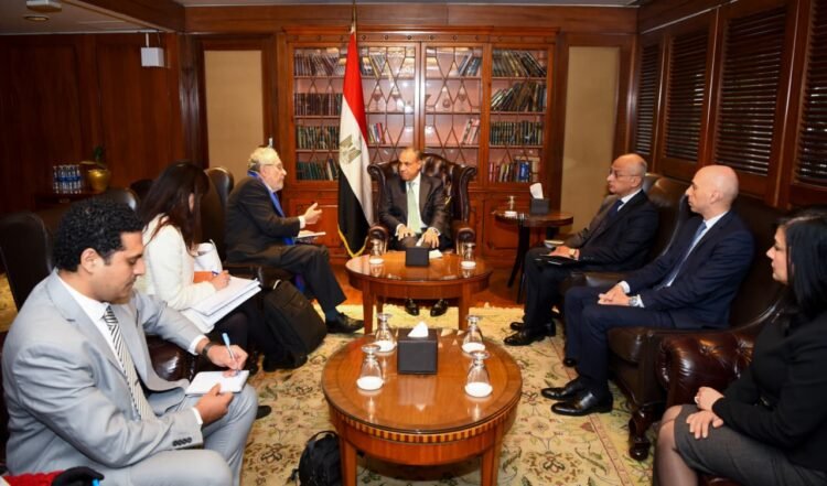Egyptian FM to Special Rapporteur: per capita water drops to under half of UN threshold 