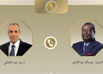  Egyptian FM to Kenyan counterpart :Egypt welcomes Nile Basin consultative steps to restore consensus