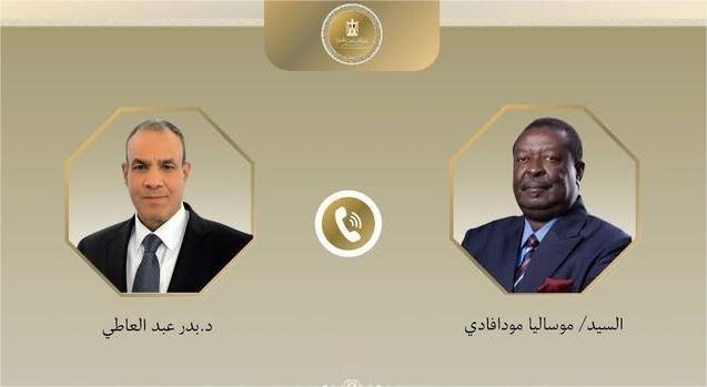  Egyptian FM to Kenyan counterpart :Egypt welcomes Nile Basin consultative steps to restore consensus