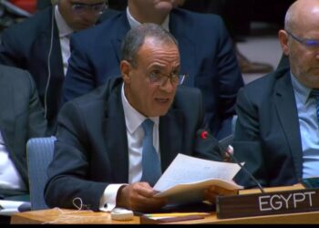 Egypt condemns Israeli Gaza ceasefire breaches, West Bank settlement expansion at UNSC