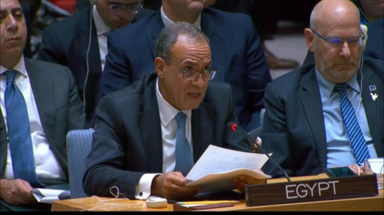 Egypt condemns Israeli Gaza ceasefire breaches, West Bank settlement expansion at UNSC