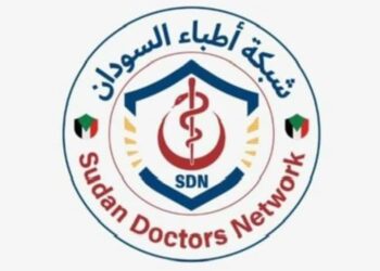 Sudanese paramilitary forces kill at least 28 people in an attack in Darfur, medical group says