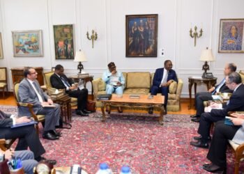 Egyptian FM : Africa suffers from “historical injustice” and UNSC needs sweeping reform