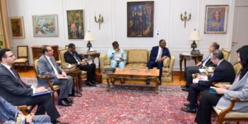 Egyptian FM : Africa suffers from “historical injustice” and UNSC needs sweeping reform