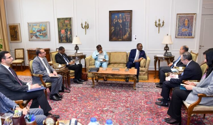 Egyptian FM : Africa suffers from “historical injustice” and UNSC needs sweeping reform