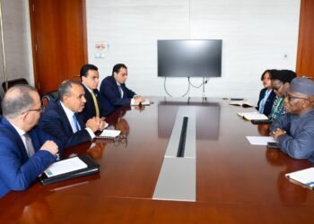 Egyptian FM, AU commissioner discuss consolidating peace, stability in Africa