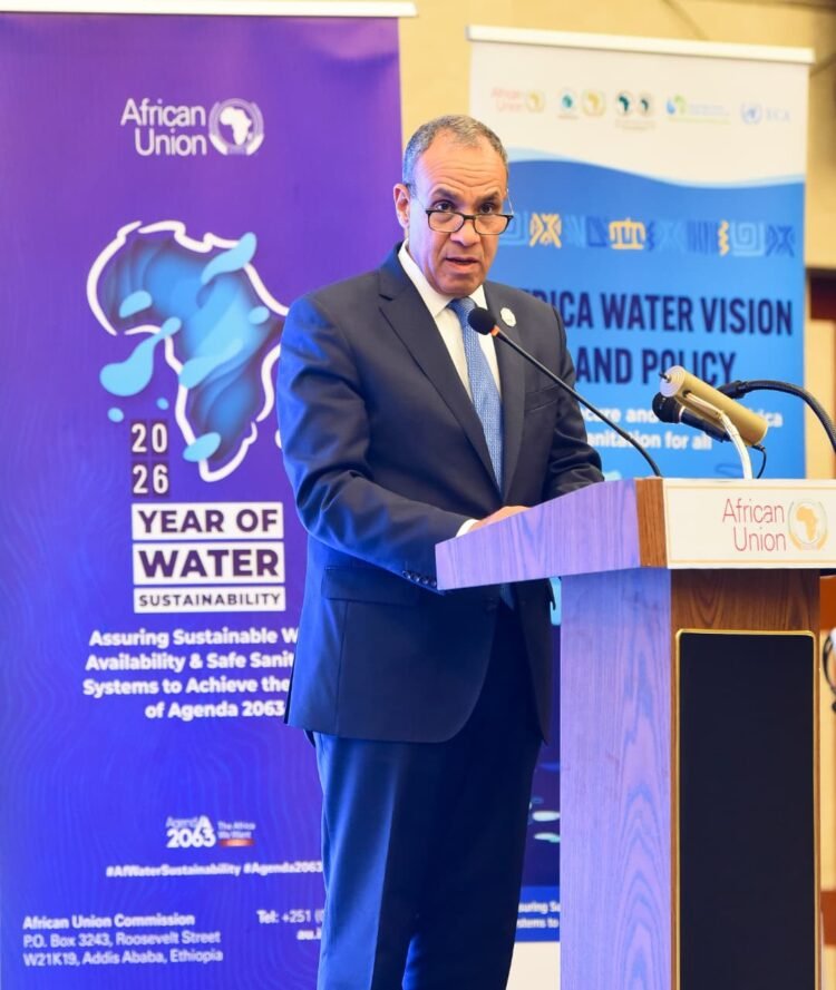 AU summit successfully maps out key priorities for Africa’s development, officials say