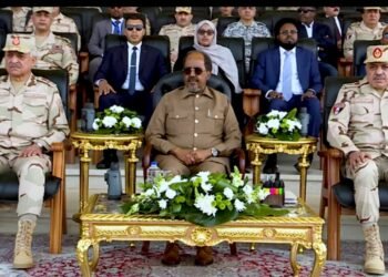 Somali president , Egyptian defence minister attend lineup of Egyptian troops for AU mission
