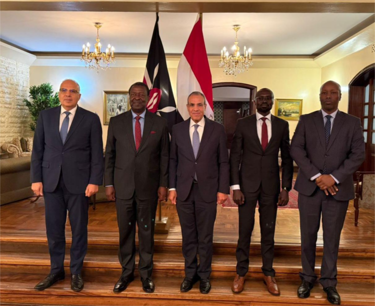 Stressing need for joint action , Egypt, Kenya pledge closer cooperation on Nile Basin Issues