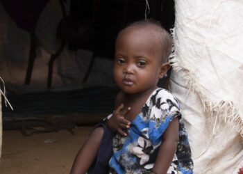  Amid severe drought .. UN agency warns of worsening humanitarian crisis in Somalia