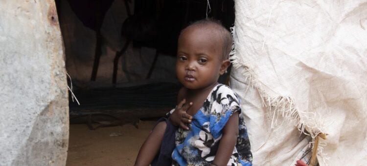 Amid severe drought .. UN agency warns of worsening humanitarian crisis in Somalia