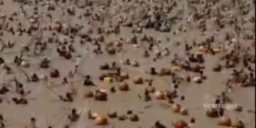 Symbol of unity , Nigeria’s Argungu fishing contest returns after years of pause