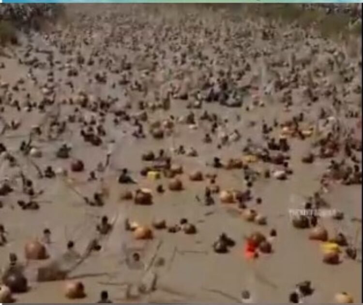 Symbol of unity , Nigeria’s Argungu fishing contest returns after years of pause