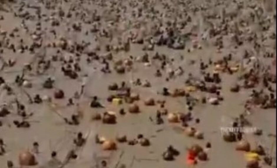 Symbol of unity , Nigeria’s Argungu fishing contest returns after years of pause