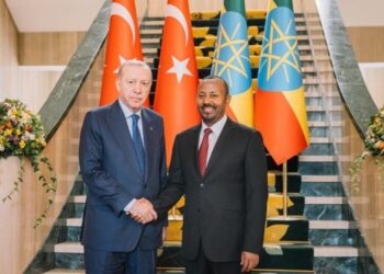 Israel’s recognition of Somaliland benefits nobody,  Turkey’s Erdogan says