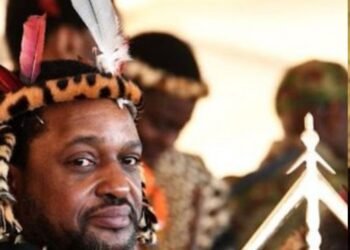 xenophobic attitude Raises eyebrows, Zulu King uses abusive term for foreigners 