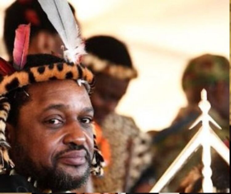 xenophobic attitude Raises eyebrows, Zulu King uses abusive term for foreigners 