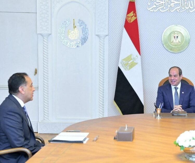 Egyptian cabinet reshuffle: House of Representatives approves multiple posts 