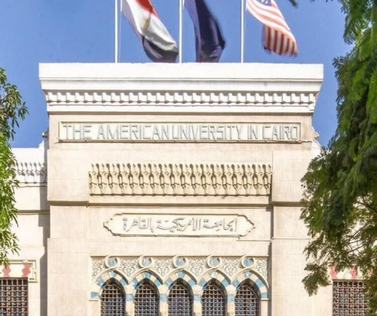 Egyptian universities have front ranks among top in North Africa  