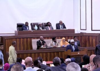 Somali parliament approves constitution change , this what to occur with president and election