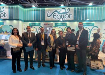 15 Commodities Account for 71% of Egyptian Food Industry Exports in 2025 Valued at $4.82 Billion