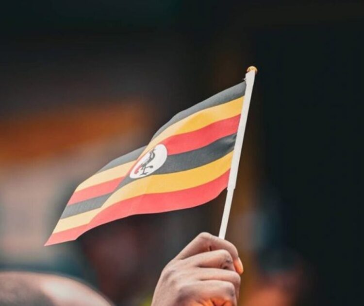 Unveiling the Enigmas: 10 Most Unique Symbols in African National Flags