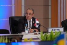 Egyptian Foreign Minister Dr. Badr Abdelatty