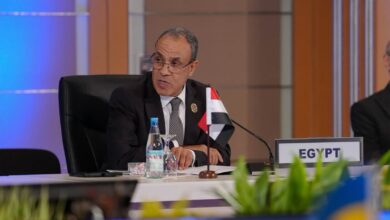 Egyptian Foreign Minister Dr. Badr Abdelatty