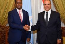 Meeting between Dr. Badr Abdel-Aty, Minister of Foreign Affairs, and the Minister of Foreign Affairs of Somalia