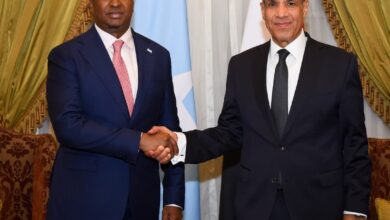 Meeting between Dr. Badr Abdel-Aty, Minister of Foreign Affairs, and the Minister of Foreign Affairs of Somalia