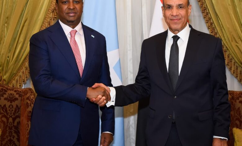 Meeting between Dr. Badr Abdel-Aty, Minister of Foreign Affairs, and the Minister of Foreign Affairs of Somalia