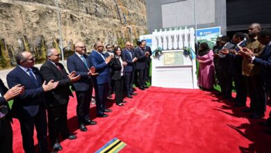 A scene from the opening ceremony of the Julius Nyerere Dam in Tanzania