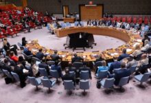 the UN Security Council